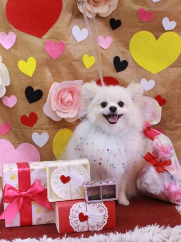 20230216オトくん